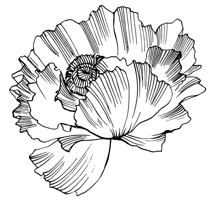 flowus_pattern_2