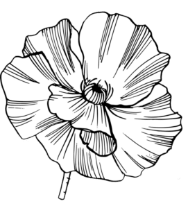 flowus_pattern_1