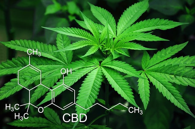 Cannabidiol (CBD): kemisk formel = C21H30O2